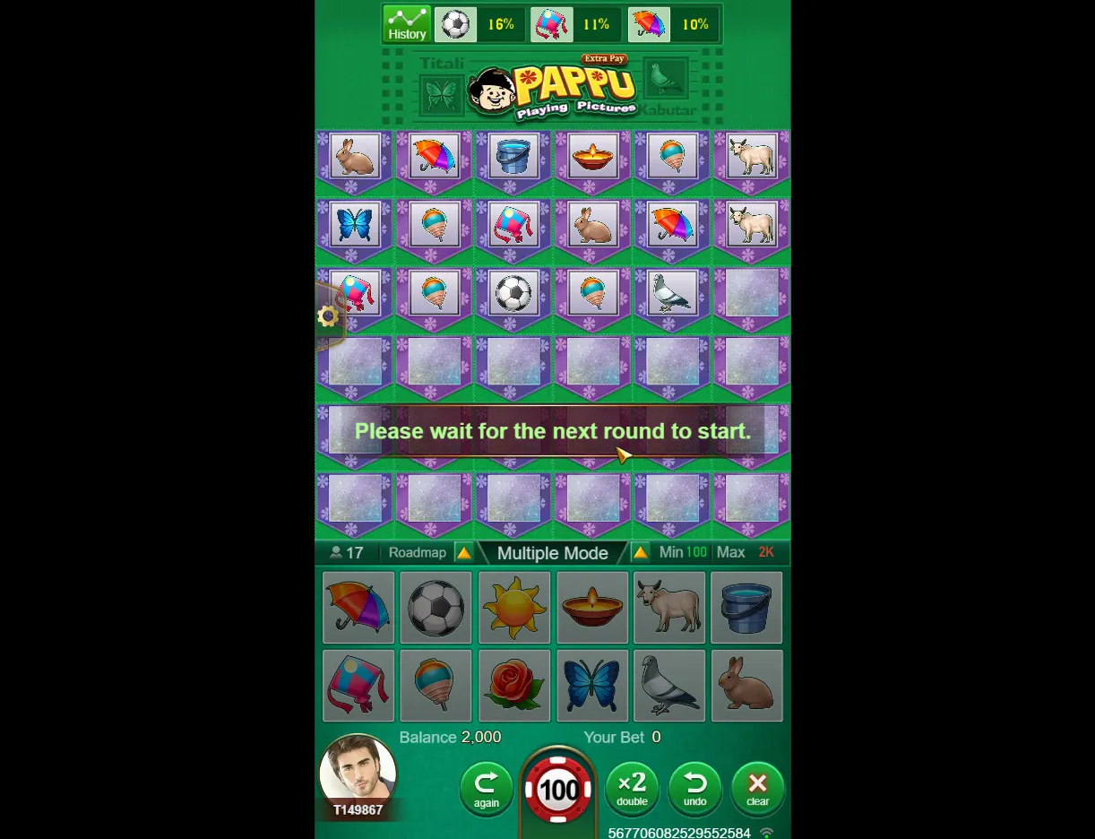Pappu Playing Pictures